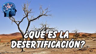 ¿QUÉ ES LA DESERTIFICACIÓN [upl. by Anitnelav]