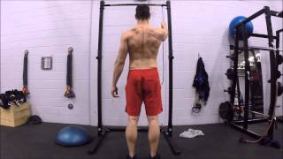 Standing Serratus Row [upl. by Ylekalb]