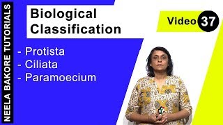 Biological Classification  NEET  Protista  Ciliata  Paramoecium  Neela Bakore Tutorials [upl. by Orvah801]