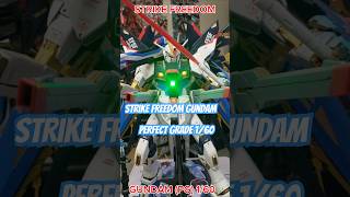 STRIKE FREEDOM GUNDAM PG 160 GUNDAM SEED DESTINY [upl. by Magbie325]