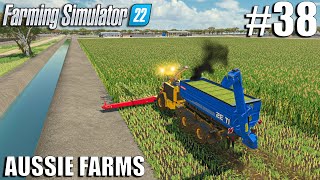 MAIZE SILAGE Harvest and LOAD w CMC SATURNE 5800 HKL  Aussie Farms 22  Farming Simulator 22 [upl. by Noland]