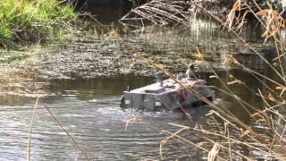 Amphibious vehicle 16 remote control [upl. by Agan]