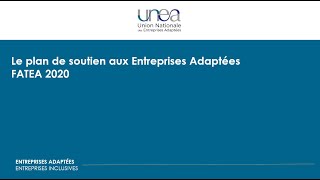 Webinaire du 07 juillet 2020 sur le FATEA 2020 [upl. by Perkoff]