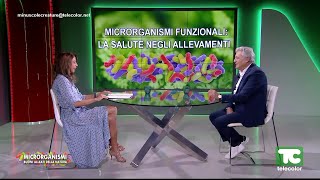 Microrganismi i buoni alleati della natura microrganismi funzionali la salute negli allevamenti [upl. by Atteselrahc]