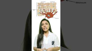 Pituitary gland  Part 2  Chemical coordination and integration  Akansha Mam pituitarygland [upl. by Newnorb]