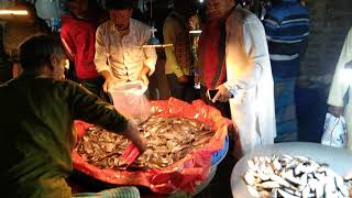 রাতের মাছ বাজারfish market bangladesh [upl. by Hermine]