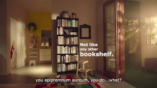 Not like any other book case [upl. by Inanuah]