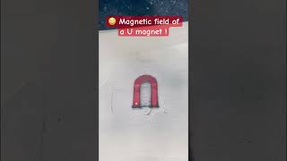 Magnetic field lines of a U magnet magneticfieldlinesfunexperimentshortsshortsfeed [upl. by Delfeena]