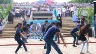 ANDHRA LOYOLA COLLEGEBRIO FLASHAnifest2016FLASH MOB [upl. by Omer]