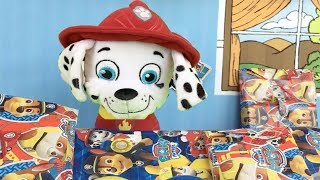 Patrulla canina españolMarshall fiesta cumpleaños feliz cachorro bomberoNuevos videos paw patrol [upl. by Ainot]