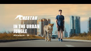 Servis Shoes Ad  Cheetah Collection 2024  Cheetah [upl. by Allehcram777]