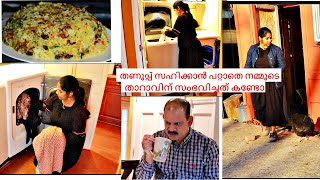 താറാവ് ഇടുന്ന ഐസ് മുട്ടയും കൊടും തണുപ്പും വീട്ടു ജോലികളും പുത്തത്തെ ജോലികളും കോഴി ബിരിയാണിയും VLOG [upl. by Krid]