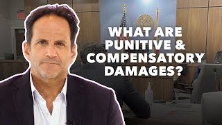 What are Punitive and Compensatory Damages [upl. by Yuri682]