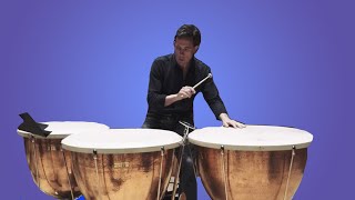 Introducing the Schnellar Timpani [upl. by Ellehsim]