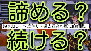 【過去最高回】500本以上占って来た中で初めての結果を引いてしまいました……ガチの号泣回。忖度無しの本気鑑定。この動画だけは絶対に見て欲しいです。諦めようか迷っているあなた様へ。 [upl. by Gignac651]