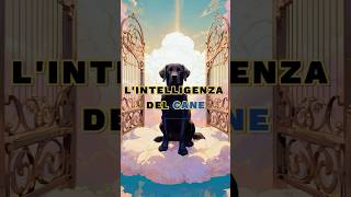 LIntelligenza Del Cane 🐕 motivazione lezionedivita saggezza [upl. by Analat246]