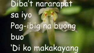 Sana Ikaw with lyrics [upl. by Elvia705]