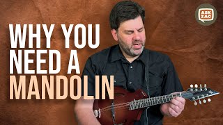 Why Guitarists Should Play Mandolin  ASK ZAC EP 25 [upl. by Elfrieda]