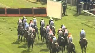 2012 Aintree  John Smiths Sefton Novices Hurdle  Lovcen [upl. by Adnirual]