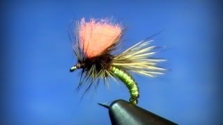 Fly Tying Clown Shoe Caddis [upl. by Nivlac]