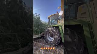 🔥 Powerful Forage Harvester in Action 🚜🌾 [upl. by Hardi509]