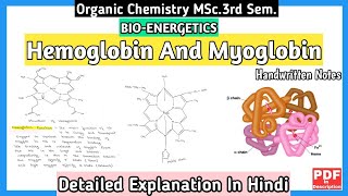 Hemoglobin And Myoglobin  Basic Concept  Structure And Functions  MSc3rd SemNotes  mscnotes [upl. by Yarvis]