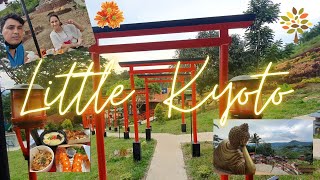 7Day Trip from Tokyo to Kyoto Episode 3  japanguidecom [upl. by Grania865]