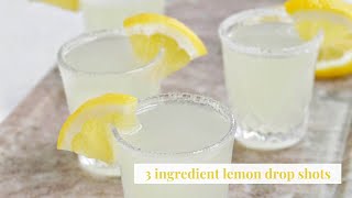 Lemon Drop Shots Recipe  Homebody Eats [upl. by Llerahc]