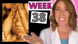 38 Weeks Pregnant  Pregnancy Week by Week and Signs of Labor [upl. by Eisenberg]