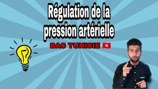 Pression artérielle 01  Régulation nerveuse  Réflexe correcteur de lhypertension et lhypotension [upl. by Anelak]