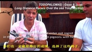 TODOPALOMAS  Goyo amp Juan Loft Long Distance Over the sea Racers  Total Auction [upl. by Roydd]