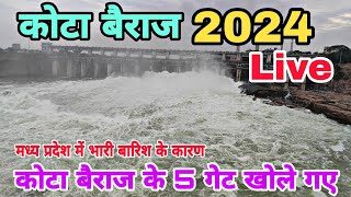 Kota barrage 2024  Kota barrage live 2024  Kota beraj 2024  कोटा बैराज 2024 [upl. by Remington]