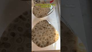 Petoskey Stone Coasters [upl. by Falda]