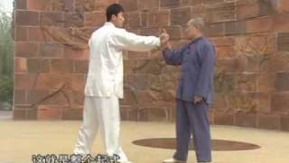 Yang Tai Chi combat tutorial [upl. by Occir722]