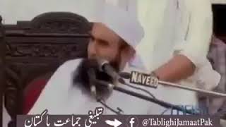 Molana Tariq Jameel About Barelvi hazarat [upl. by Marysa]