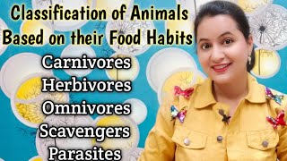 Carnivores  Herbivores  Omnivores Scavengers Parasites Types Of Animals  Kids Colouring Fun [upl. by Lj]