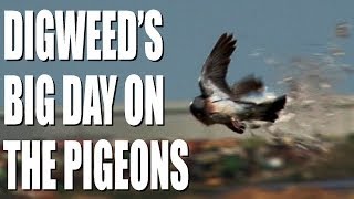 George Digweeds big day on the pigeons [upl. by Yunfei]