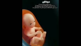 Quran surah Alteen By Paradise world yt short [upl. by Ymmas]