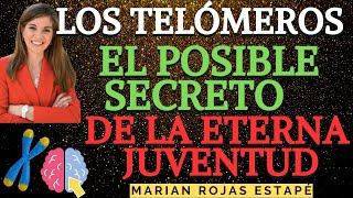 🧬🧠 Los telómeros el posible secreto de la eterna juventud  Dra Marian Rojas Estapé [upl. by Katrina]