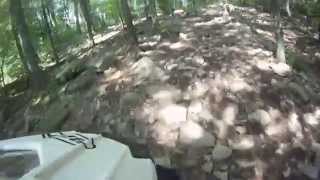 Allegheny National Forest Trail Ride Compilation [upl. by Oulman]