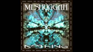 Meshuggah  Rational Gaze ﴾Ƨlow﴿ [upl. by Anastos207]