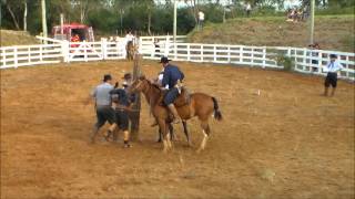 Rodeio de Charqueadas 2016  Classificatórias na Arena [upl. by Soren]