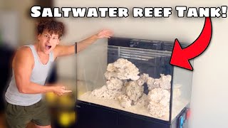 I Bought NEW SALTWATER Aquariums for My FISH ROOM [upl. by Dasya502]