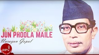 Narayan Gopal  JUN PHOOL MAILE quotजुन फूल मैलेquot  Superhit Nepali Song  Nepali Adhunik Song [upl. by Uzzial]