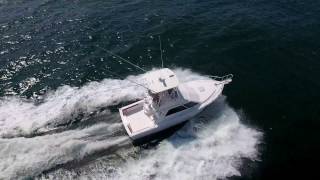 Gulf Coast Yacht Group  2004 35 Cabo Sportfish Ashley Marie [upl. by Esyahc820]