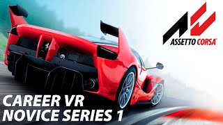 Assetto Corsa VR  Career Novice Series 1 Gold No Commentary [upl. by Okwu]