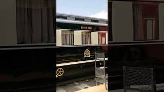 LivinginSAtvIconic 🇿🇦 ROVOS RAIL HQ‼️LivinginSAtv luxury Travel Class SouthAfrica Train Art [upl. by Allicsirp]