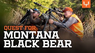 Janis Putelis Hunts for a Montana Black Bear [upl. by Elfrida]