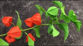 ABC TV  How To Make Physalis Alkekengi Flower From Crepe Paper  Craft Tutorial [upl. by Vonnie]