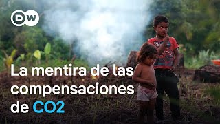 De la reforestación a la compensación de CO2 los sucios trucos de las empresas  DW Documental [upl. by Adil]